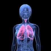 Asthma related image