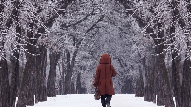 A 10-Step Guide to Mindfulness this Winter