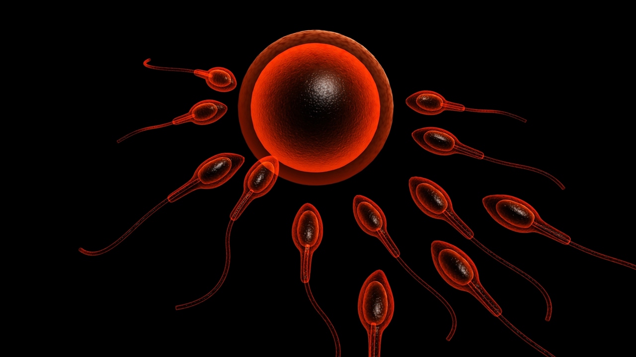 Misconceptions About Infertility: 10 Facts You Should Know 