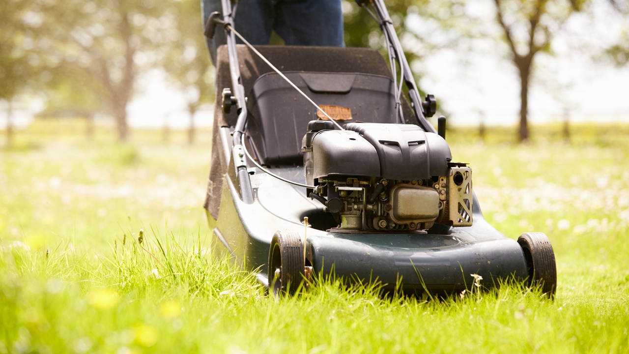 Mosquitoes and Ticks: 11 Tips Will Help You Avoid Getting Bitten
