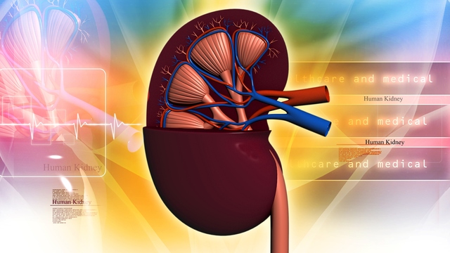 Multiple Myeloma Can Cause Kidney Damage