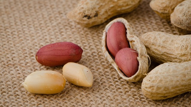 oral exposure to peanuts treats children's peanut allergy
