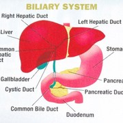 information on pancreatic cysts