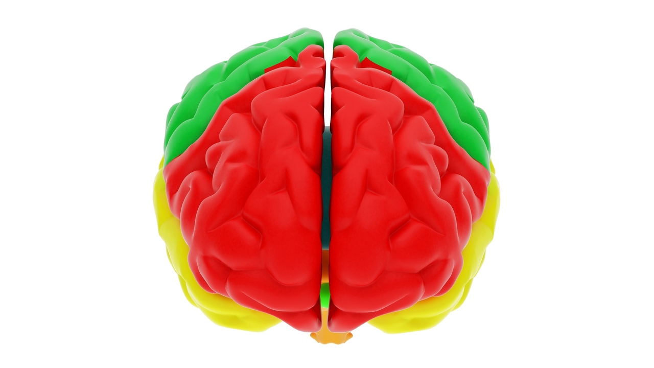 Poliovirus Successfully Treats Deadly Brain Cancer in Research