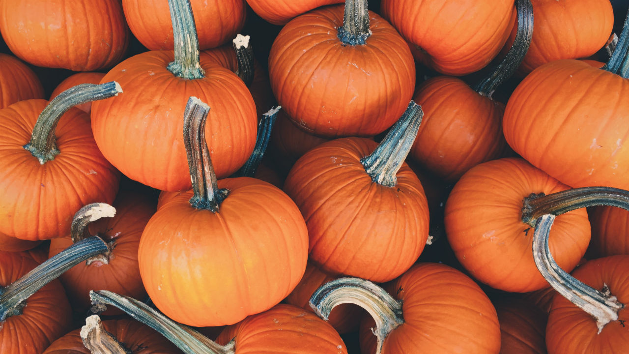 New Trend for Fall: Pumpkin Spice Hair