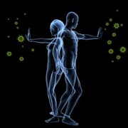 autoantibodies and their role in rheumatoid arthritis 