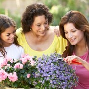 family history has an effect on your breast cancer risk