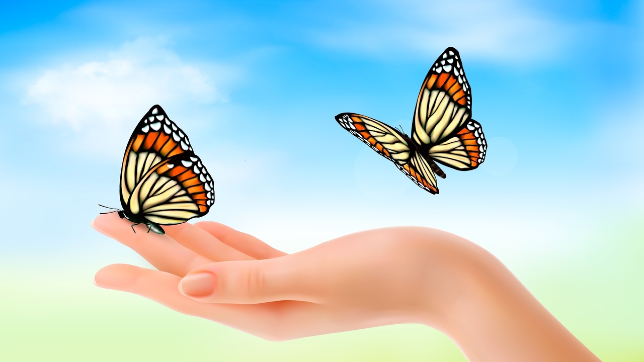 No More Ruminating: Start Chasing Butterflies for Mental Health