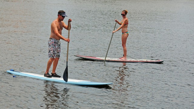 Stand Up Paddleboarding: Exercise and Unique View of Nature 