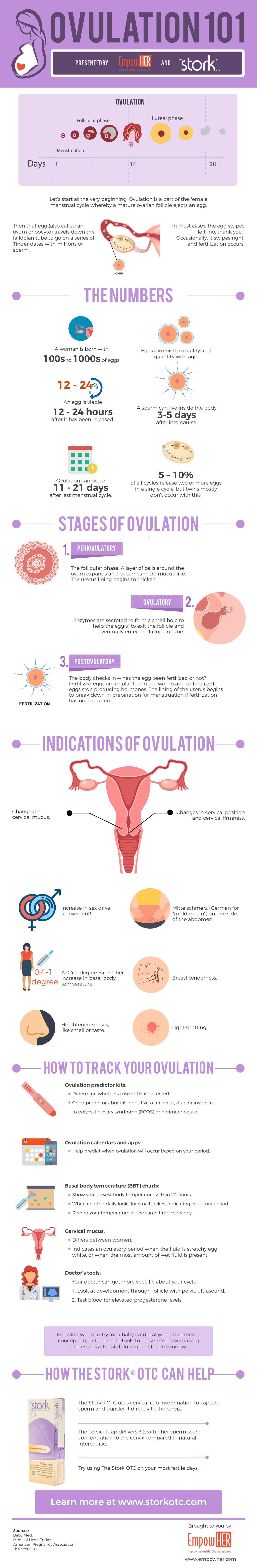 What You Need to Know About Your Ovulation Cycle [Infographic