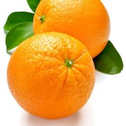 oranges-health-benefits-studied 