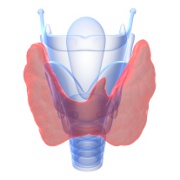 Genetic Tests Detect Thyroid Cancer Without Surgery 