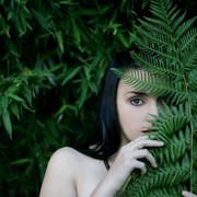 violent beauty, glamorous images of violence against women are dangerous