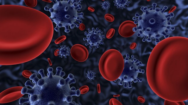 vitamin D may improve immune function