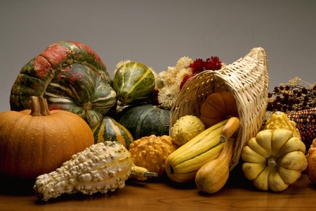 Thanksgiving Dinners will Please Them All