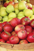 Healthy Eating related image