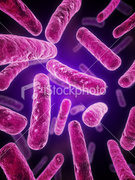 Food Poisoning related image