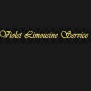 Violet Limousine Service Inc