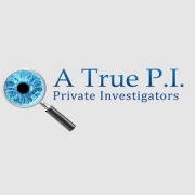 A True P I Private Investigator