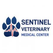 emergencyvet