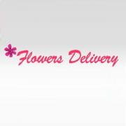 Same Day Flower Delivery Austin TX