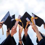 fakedegree Picture