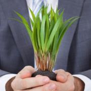 jacksonvillefakegrass