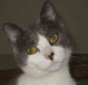 FiFi_Mac Picture