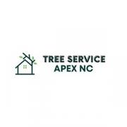 apextreeservices