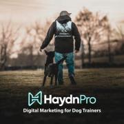 dogtrainerseo Picture