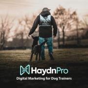 dogtrainerseo