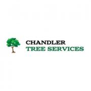 chandler_tree_trimming