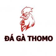 thuyphatyeky@gmail.com