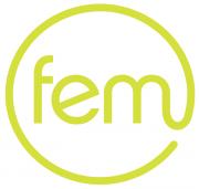 FemFusion Picture