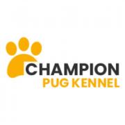 championpugkennels