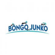 junk-removal-spring-tx