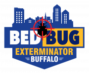 bedbugextbuffalo