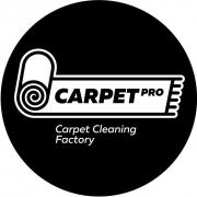 carpetprowash11