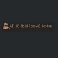 ALL US Mold Removal Boston MA