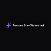 removesorawatermark