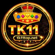 tk11topnet