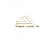 Triangle Associates Inc