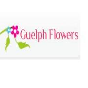 guelphflowers