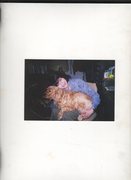 Barbsplace
