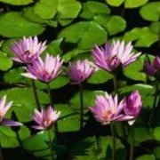 kathleen.omalley.3152