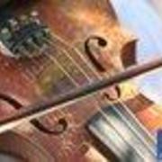 fiddlingal