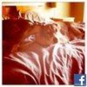 craig.budwitz