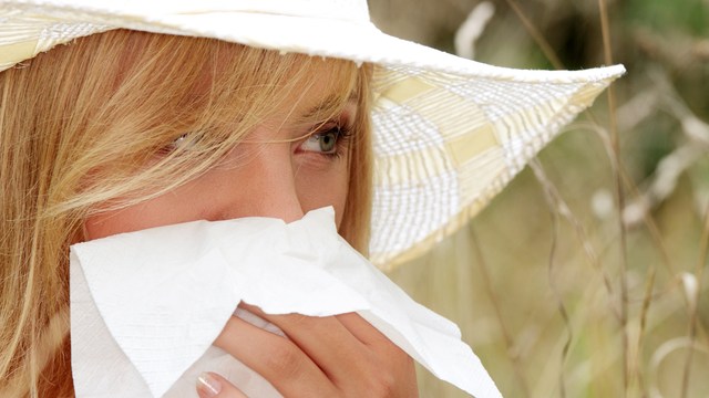 Do you suffer from springtime allergies?