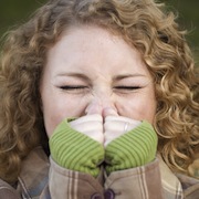 sneezing is a fall allergy symptom
